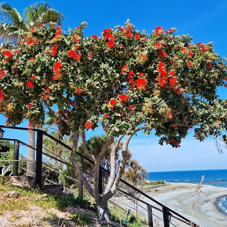 Astrofegia Beachfront Villa Помос Екстериор снимка