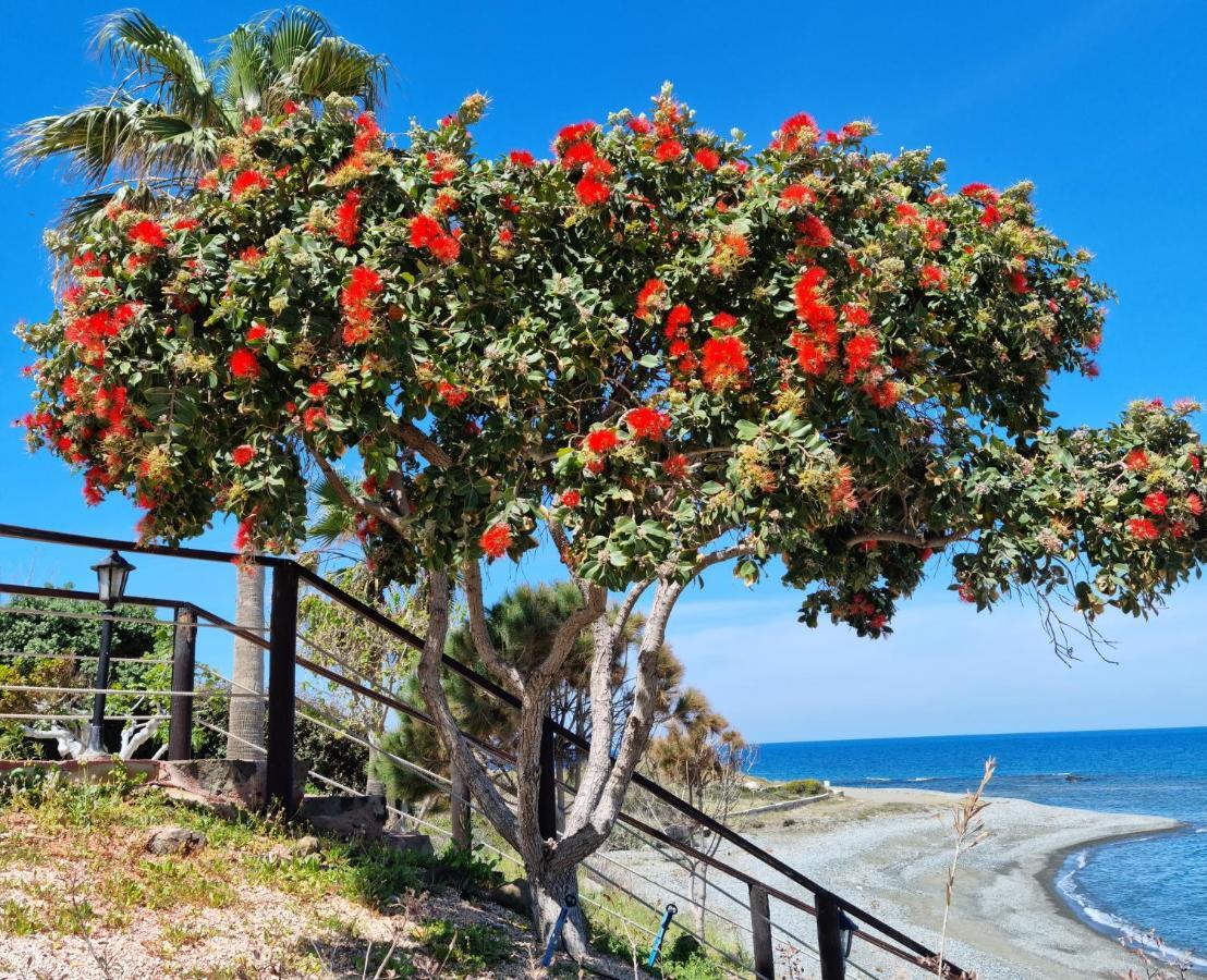 Astrofegia Beachfront Villa Помос Екстериор снимка